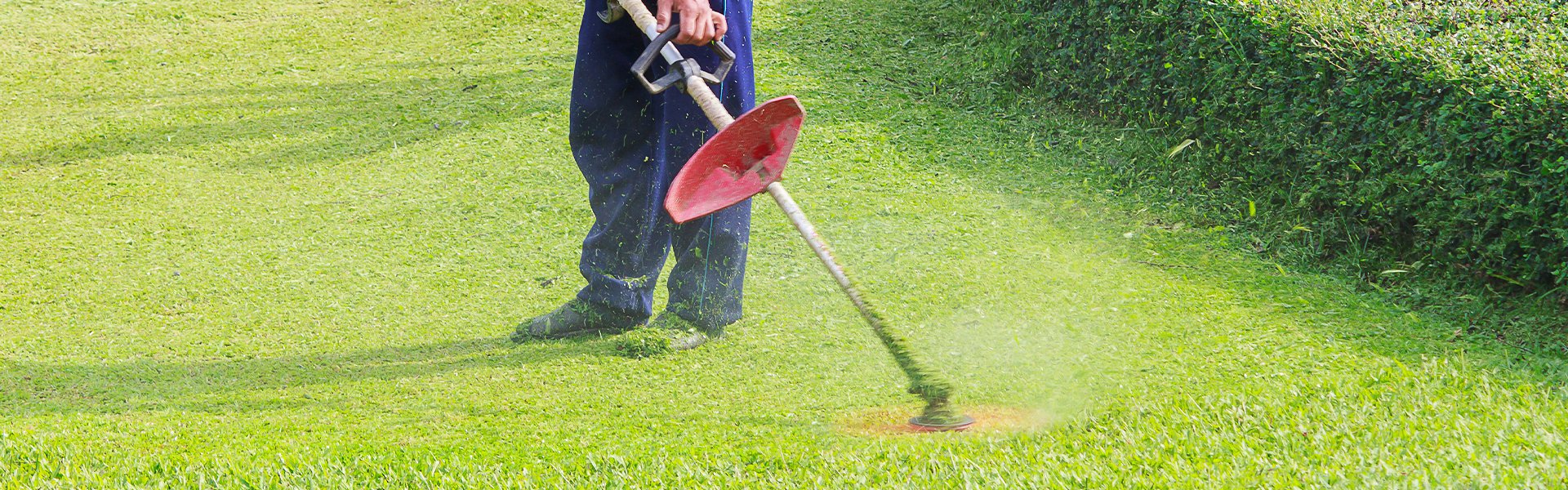 オンラインショッピングモール