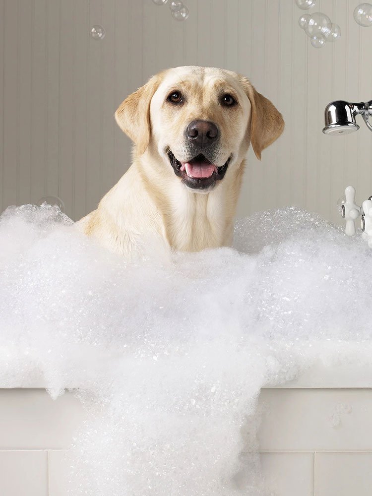 Online shopping mall