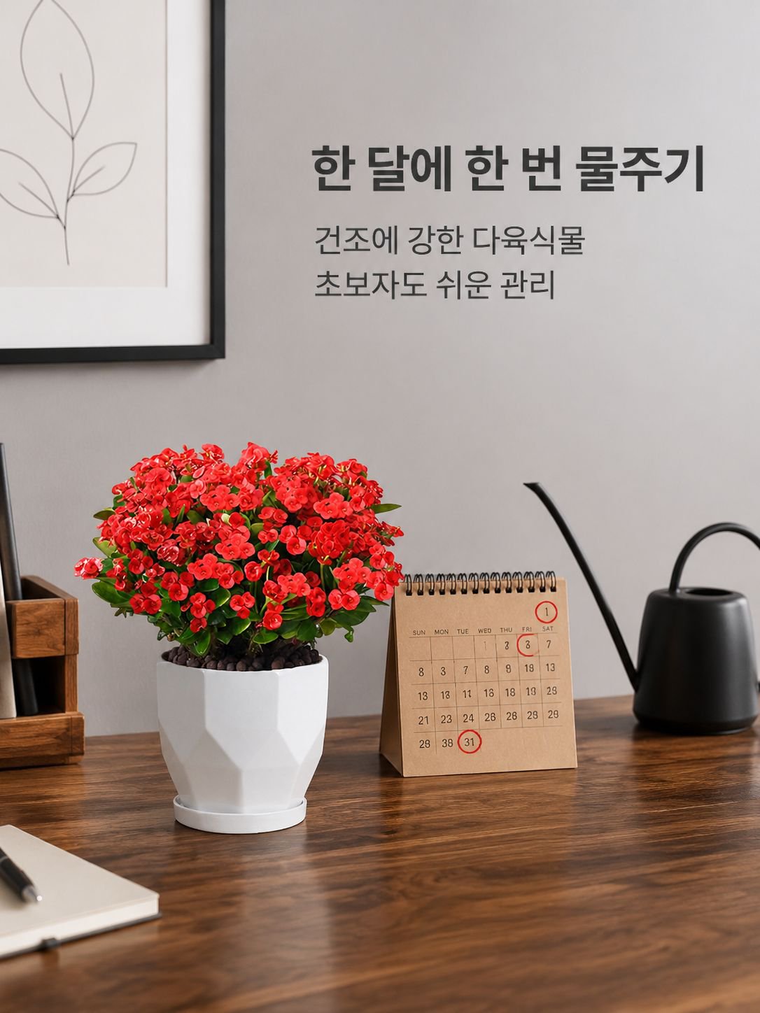 실내 베란다 사계절 개화 선인장매화 화분식물