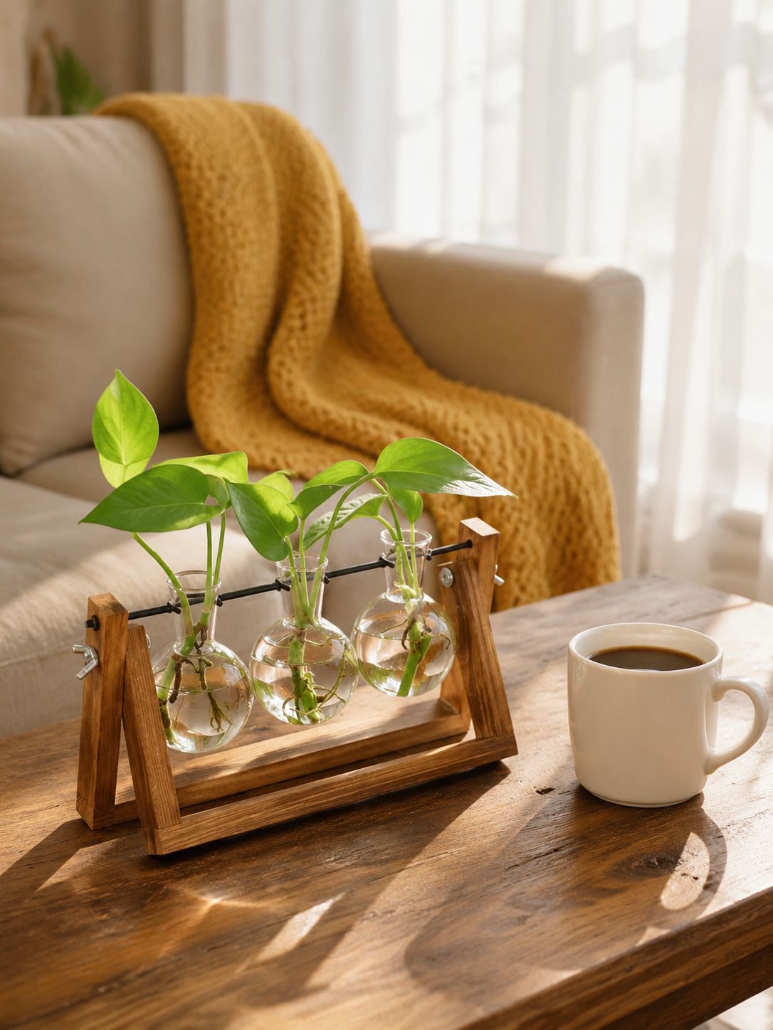 Jarrón de vidrio elegante para plantas hidropónicas