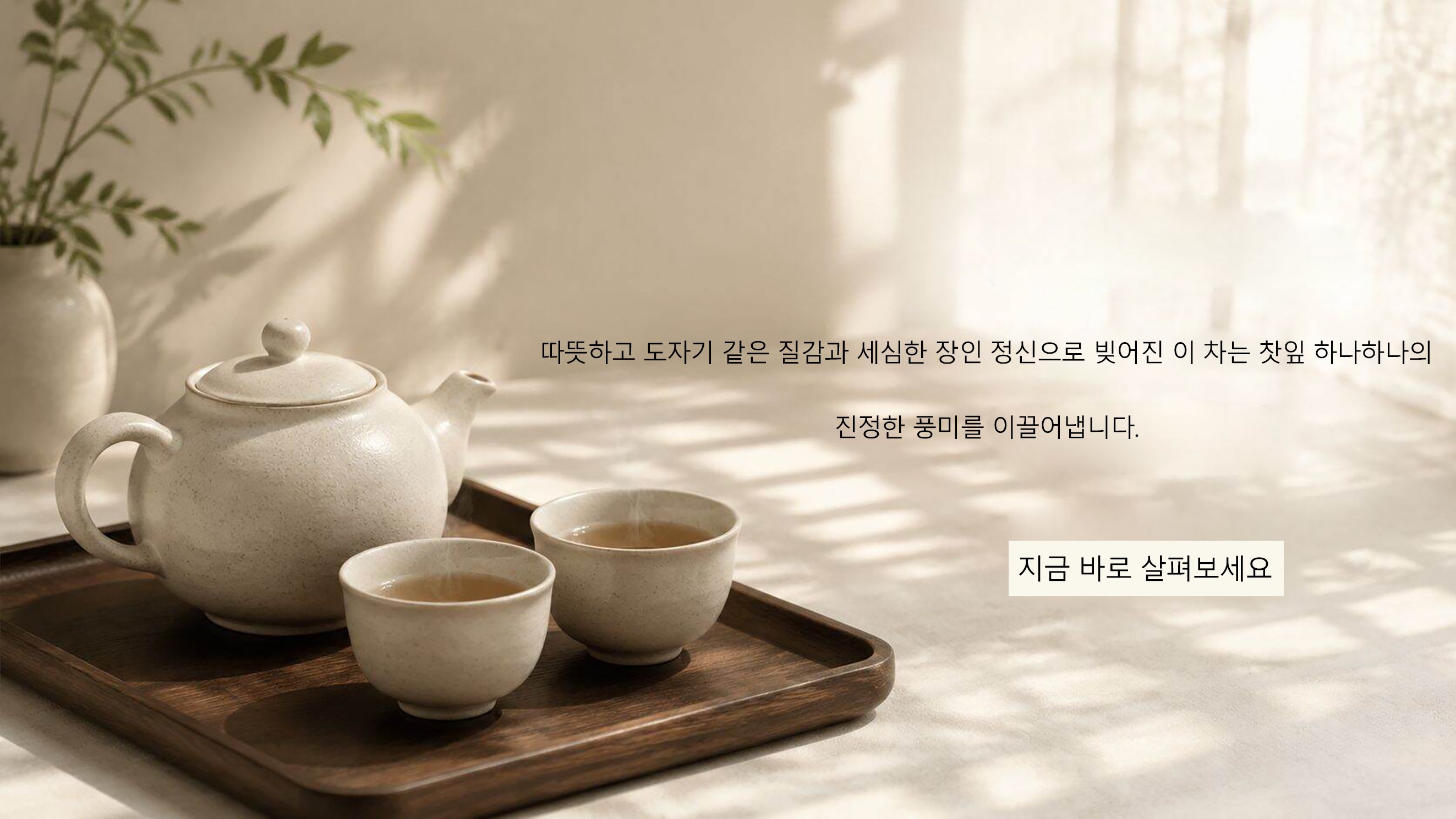  malonexi.com-copy