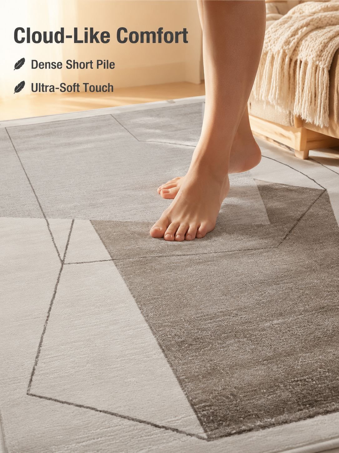 Luxury Living Room Carpet