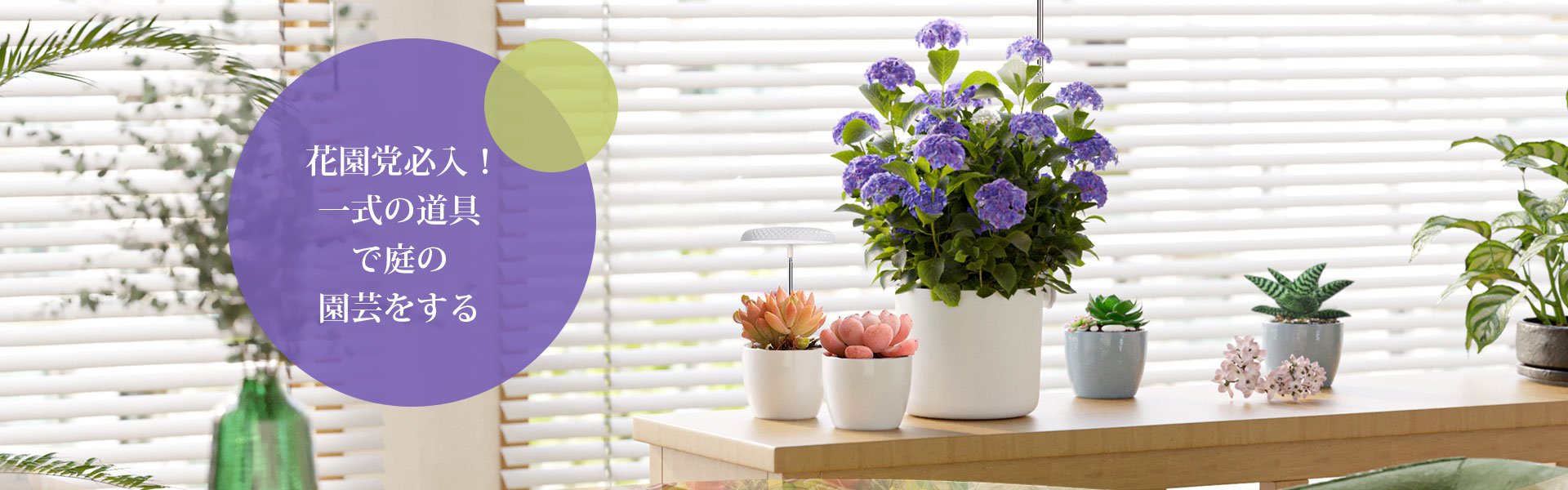 オンラインショッピングモール