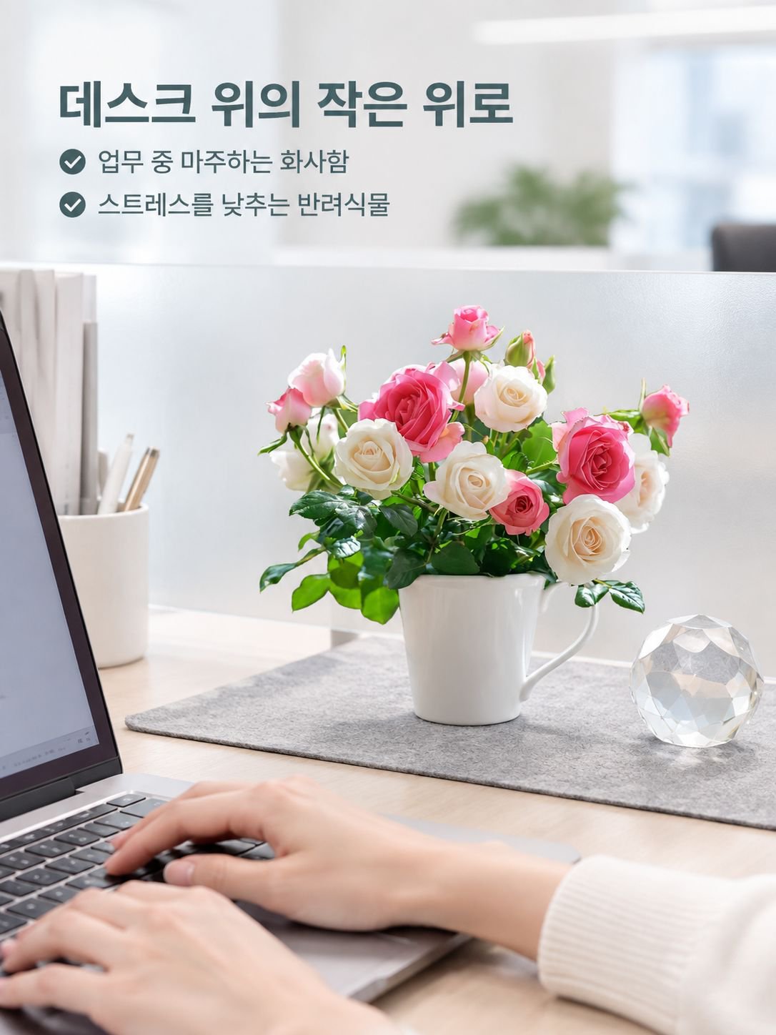 이중 꽃잎 장미