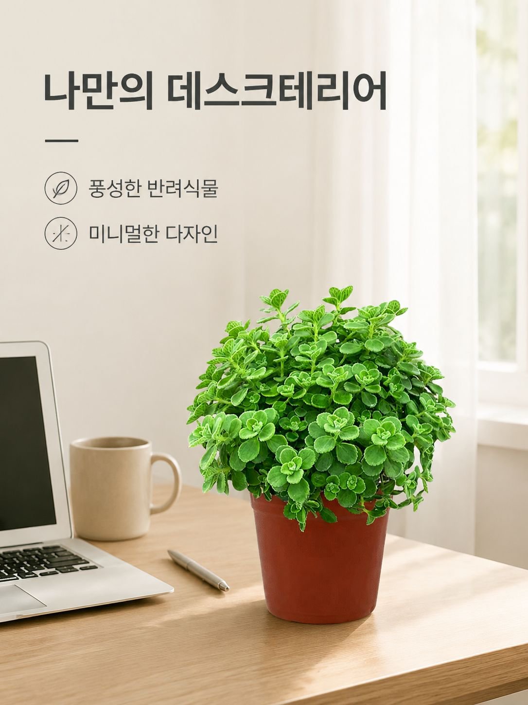 로즈마리 녹색 식물