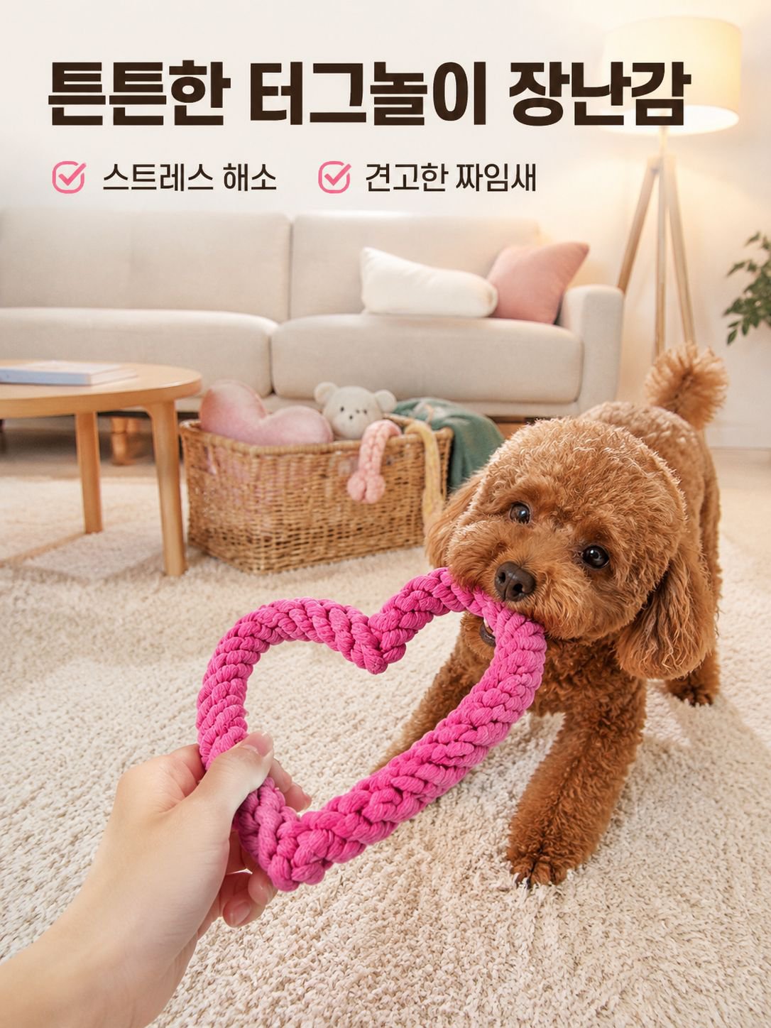 애완견 목줄 장난감
