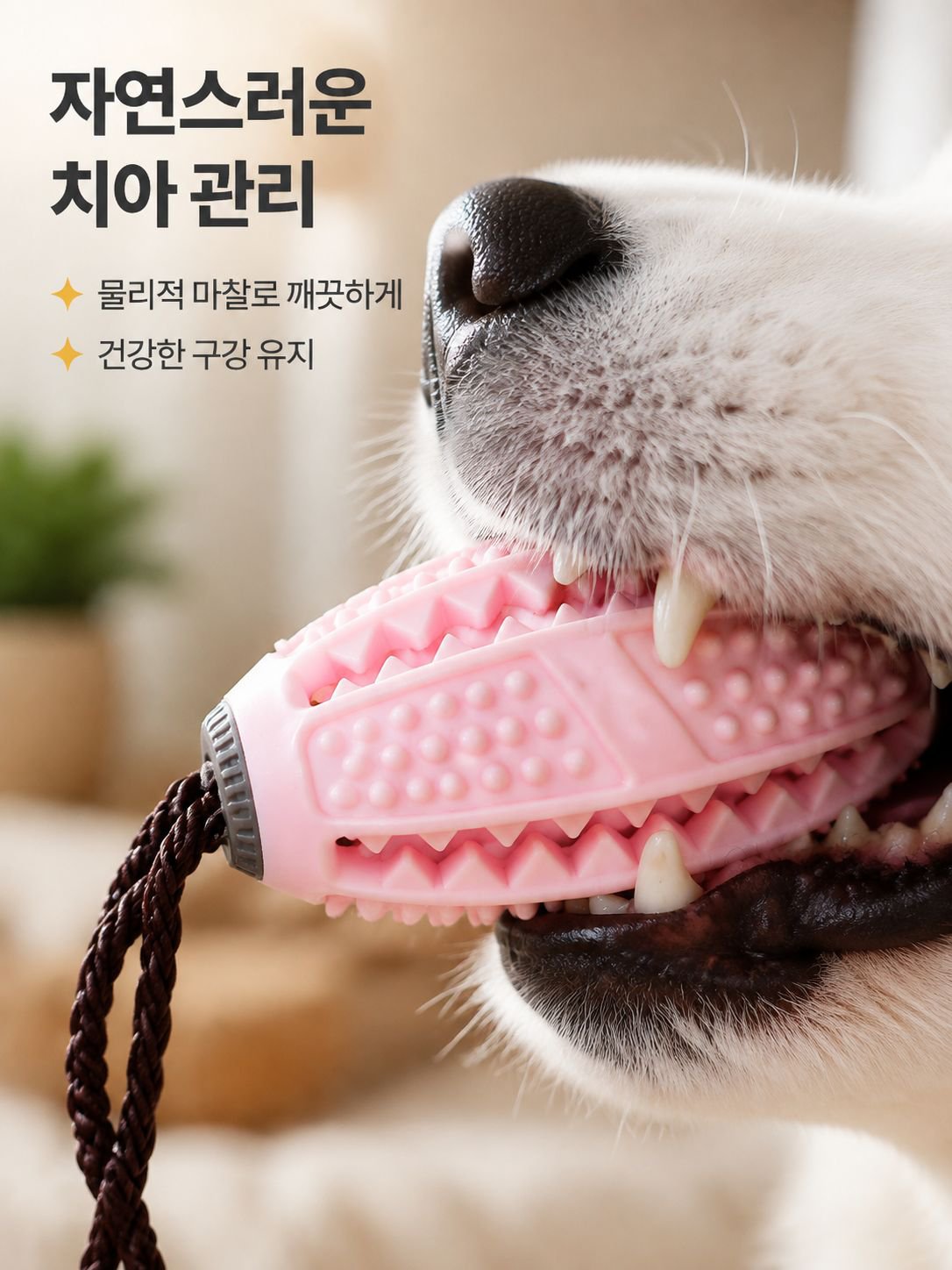 반려동물용 올리브 씹는 장난감