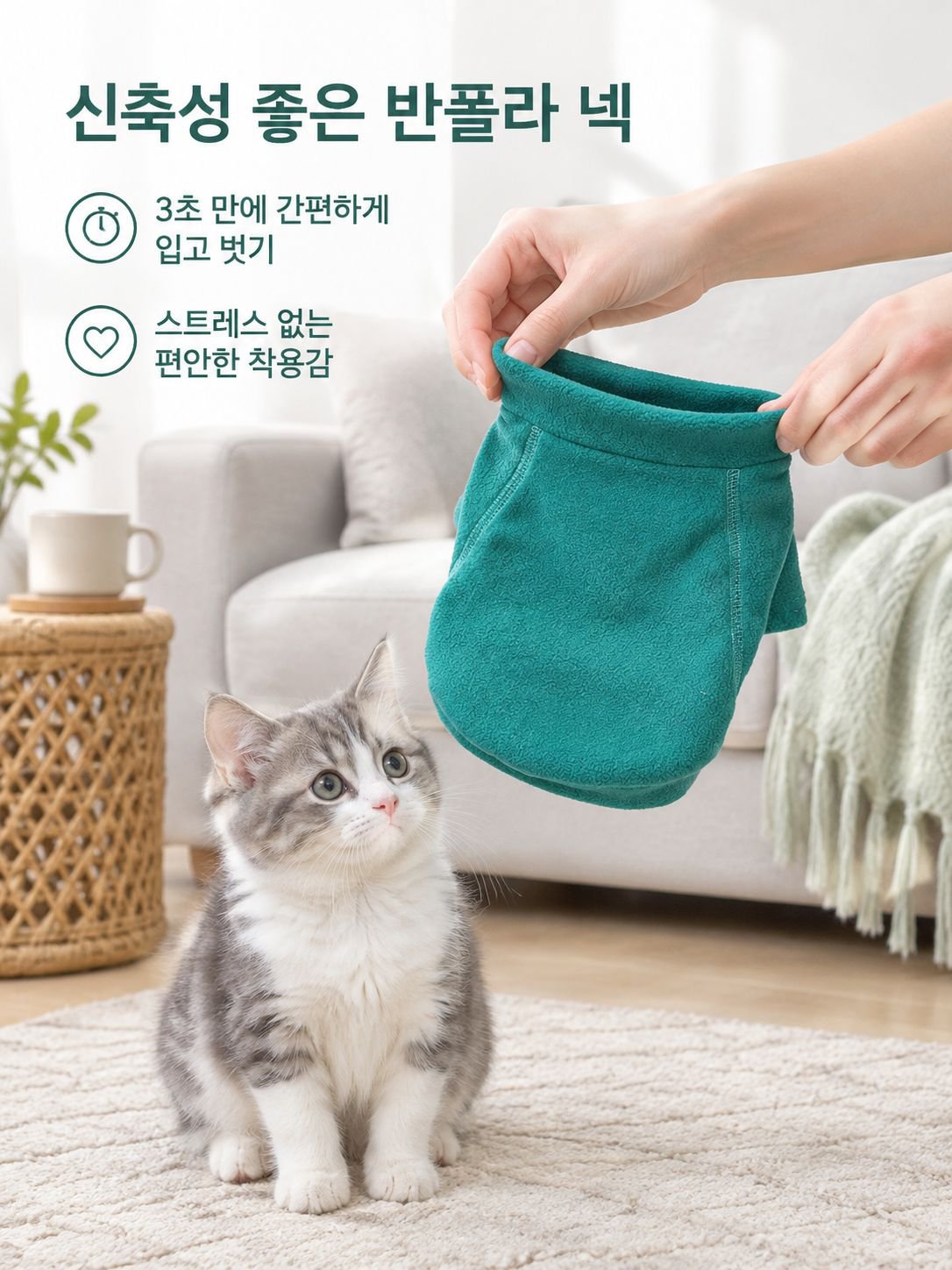 소형견과 고양이 모두 착용 가능한 반려동물 후드티