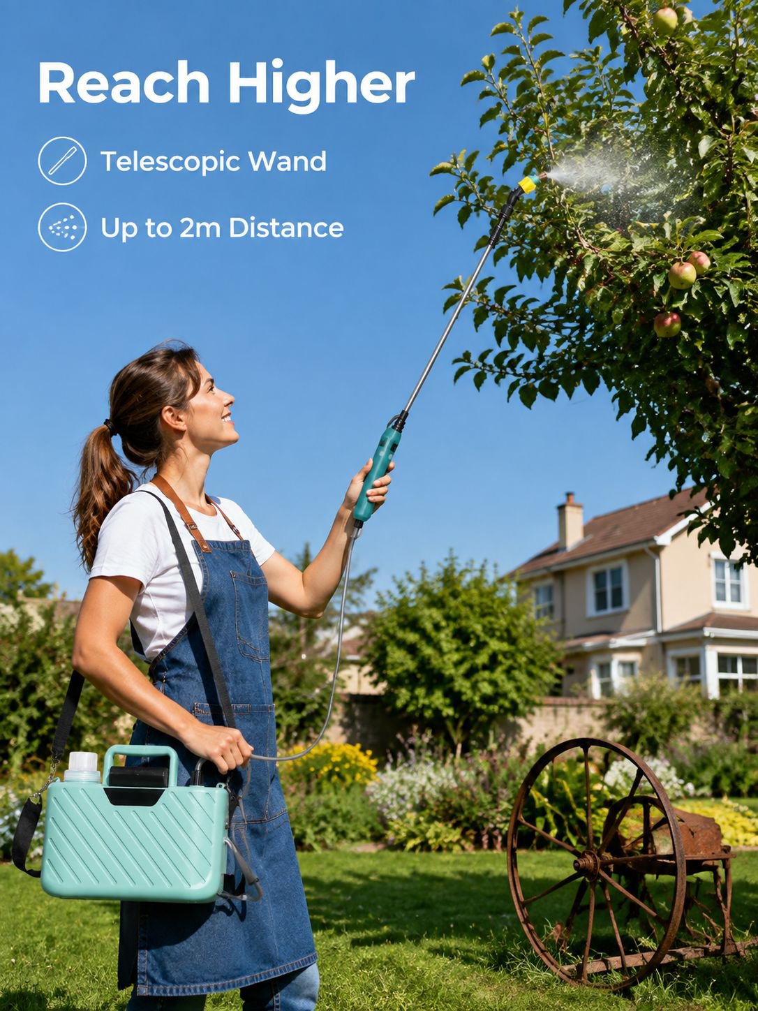Portable Small Electric Sprayer