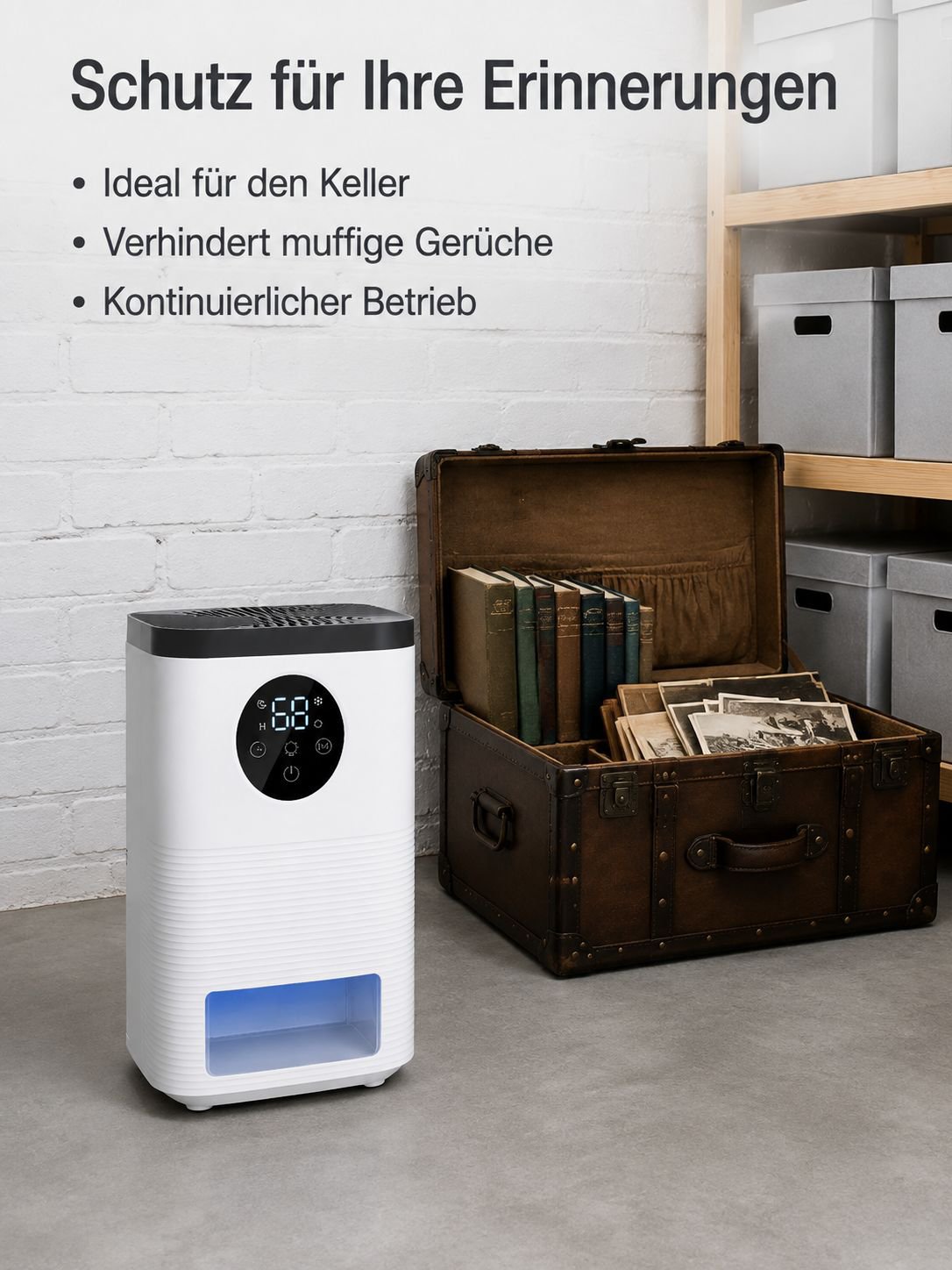 Luftentfeuchter für gesunde Luft zu Hause