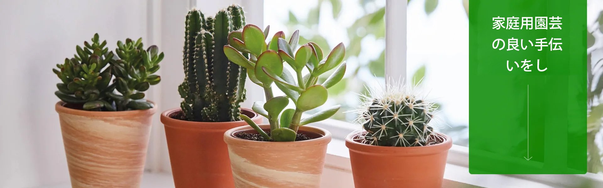 オンラインショッピングモール