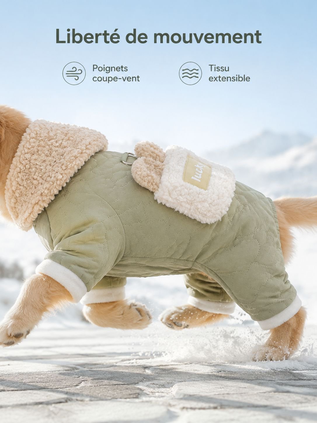 Habit d'hiver confortable pour animaux de compagnie de petite taille