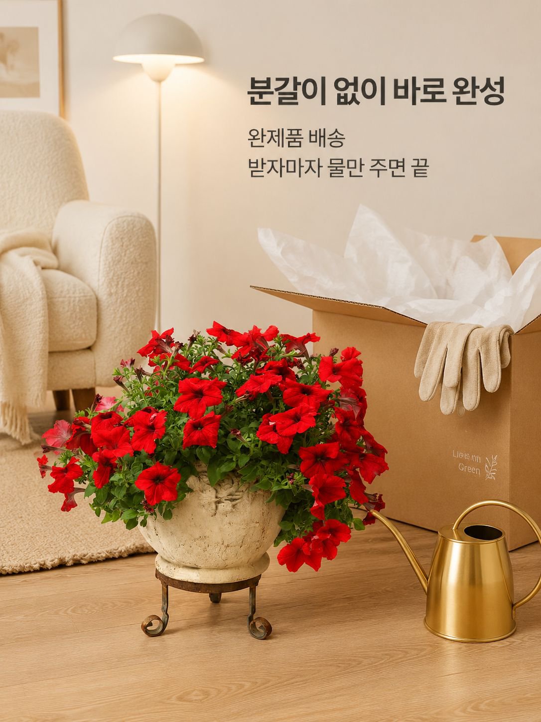 겹꽃 페튜니아