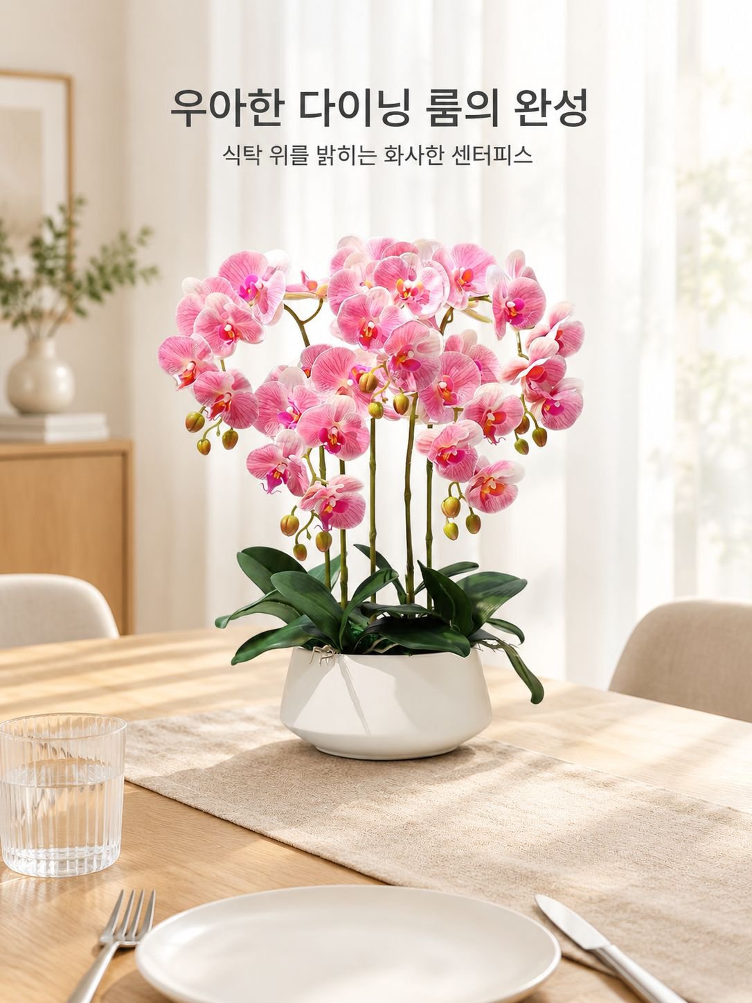 팔레노프시스 난초 실내 식물