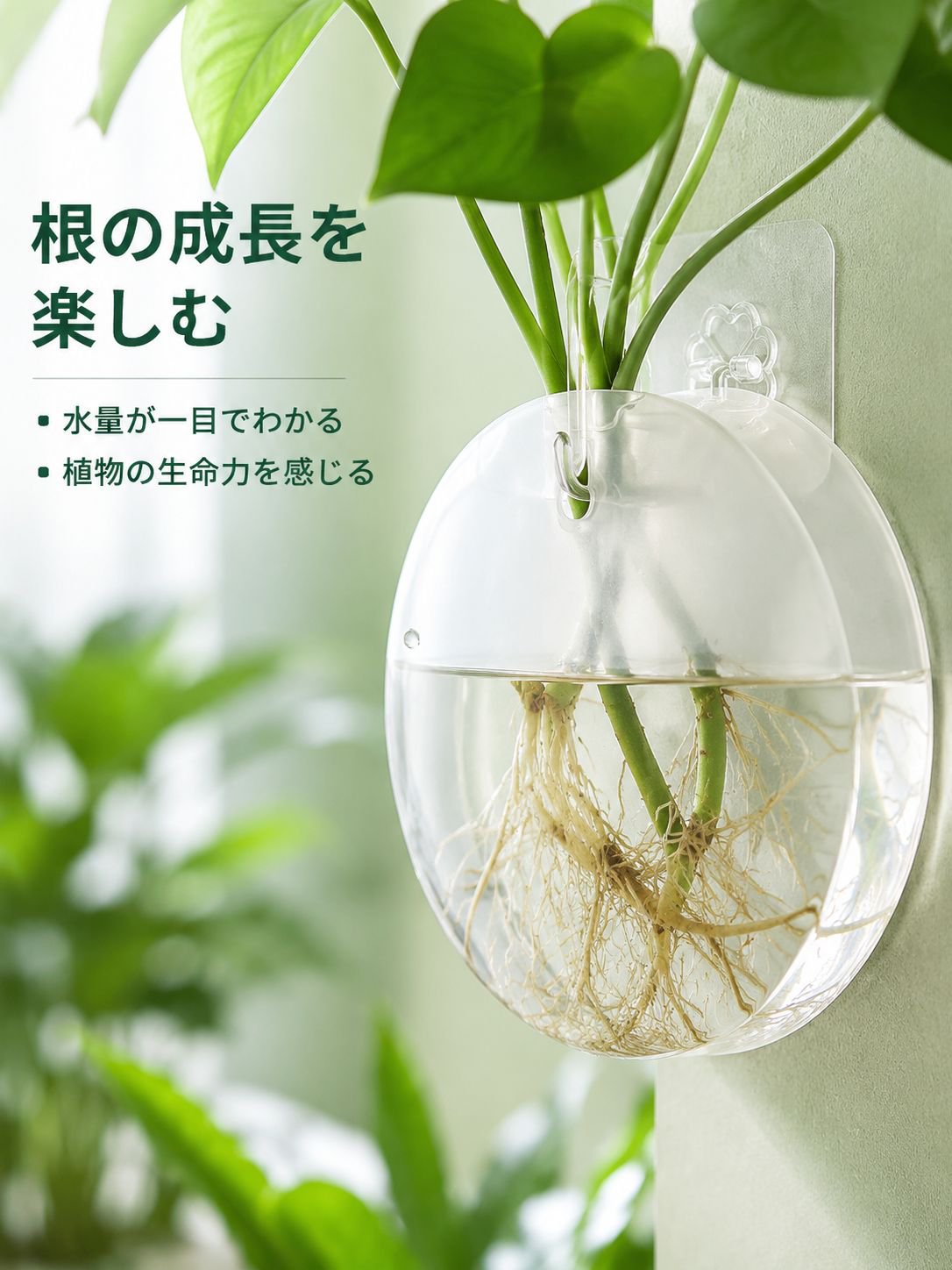 水耕栽培グリーンラディッシュ壁掛けフラワーベース