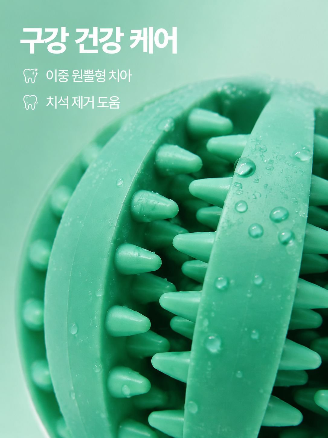 애완견이 공 장난감을 씹다