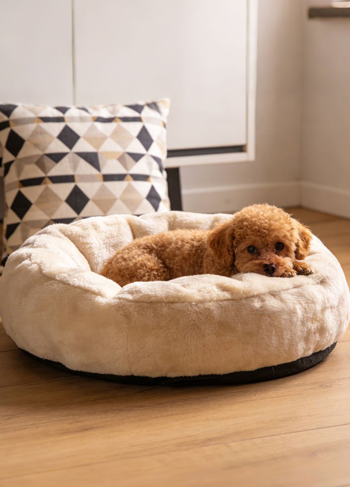 ศูนย์การค้าออนไลน์