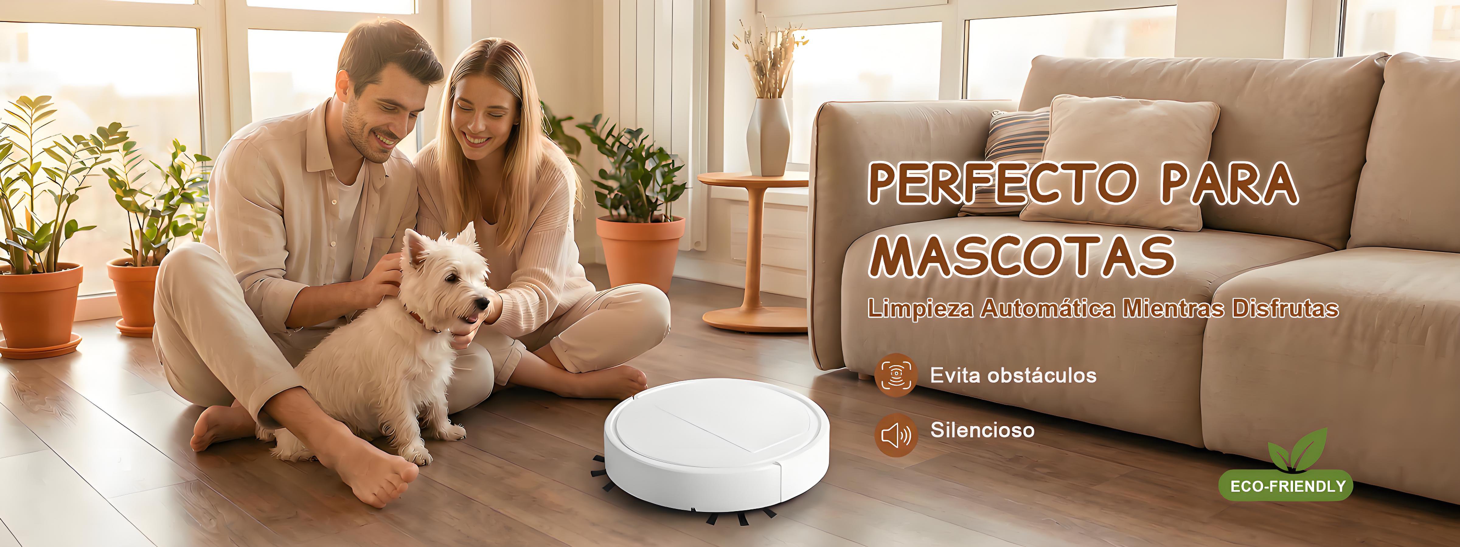 Herramientas eléctricas para tu jardín al mejor precio,Cuidado personal con tecnología avanzada,Compra electrodomésticos para cocina online,Soluciones eléctricas para limpieza eficiente