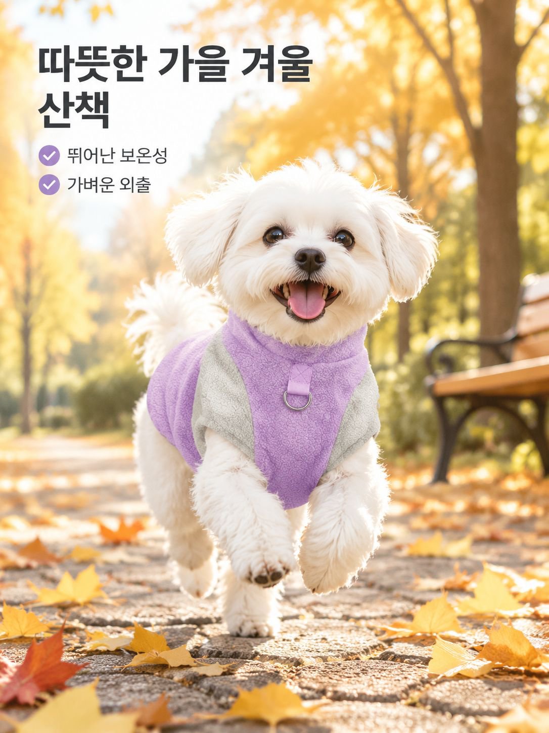 강아지와 고양이 모두에게 적합한 가을·겨울 의류