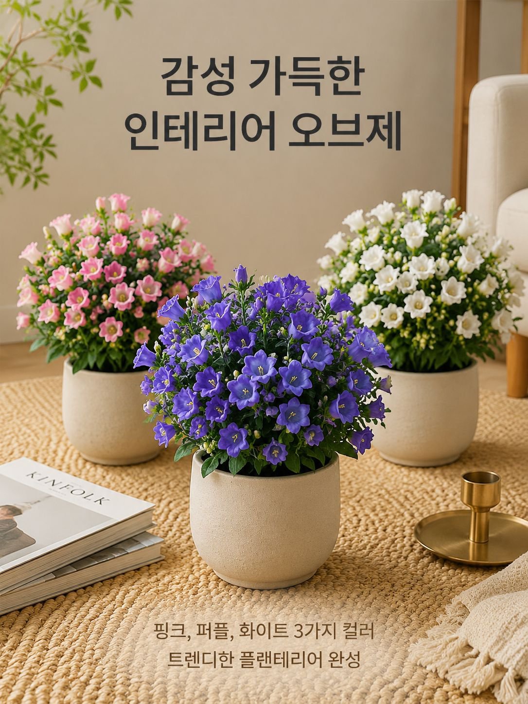 겹꽃 덴마크 벨플라워