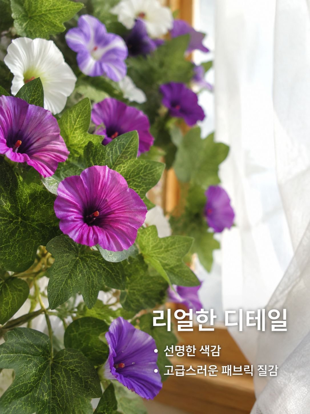 인공 나팔꽃