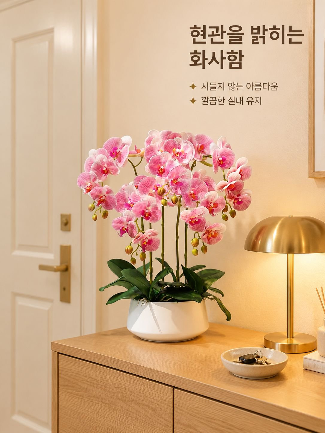 팔레노프시스 난초 실내 식물