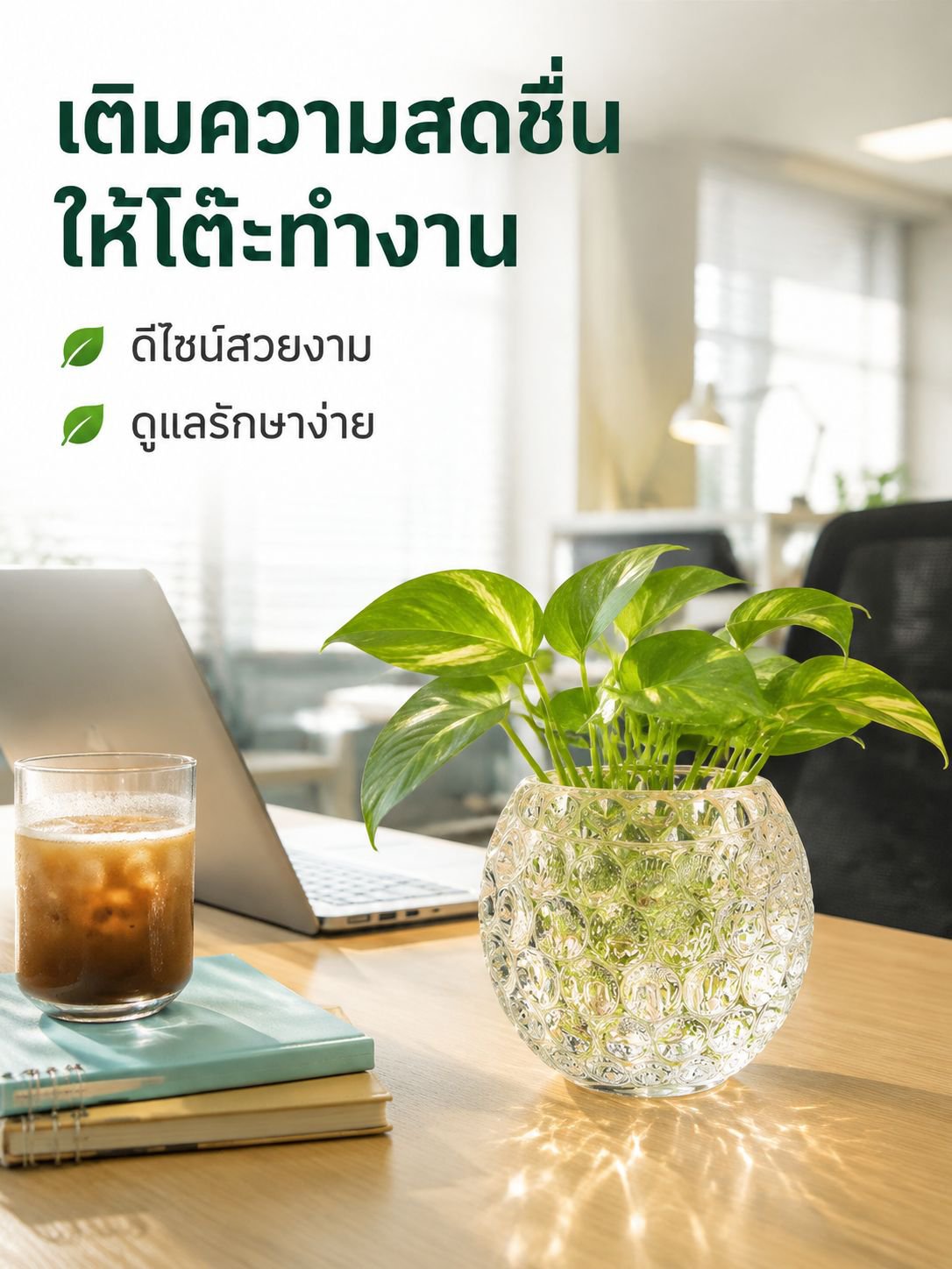 ขวดน้ำสำหรับปลูกต้นไม้ในบ้าน
