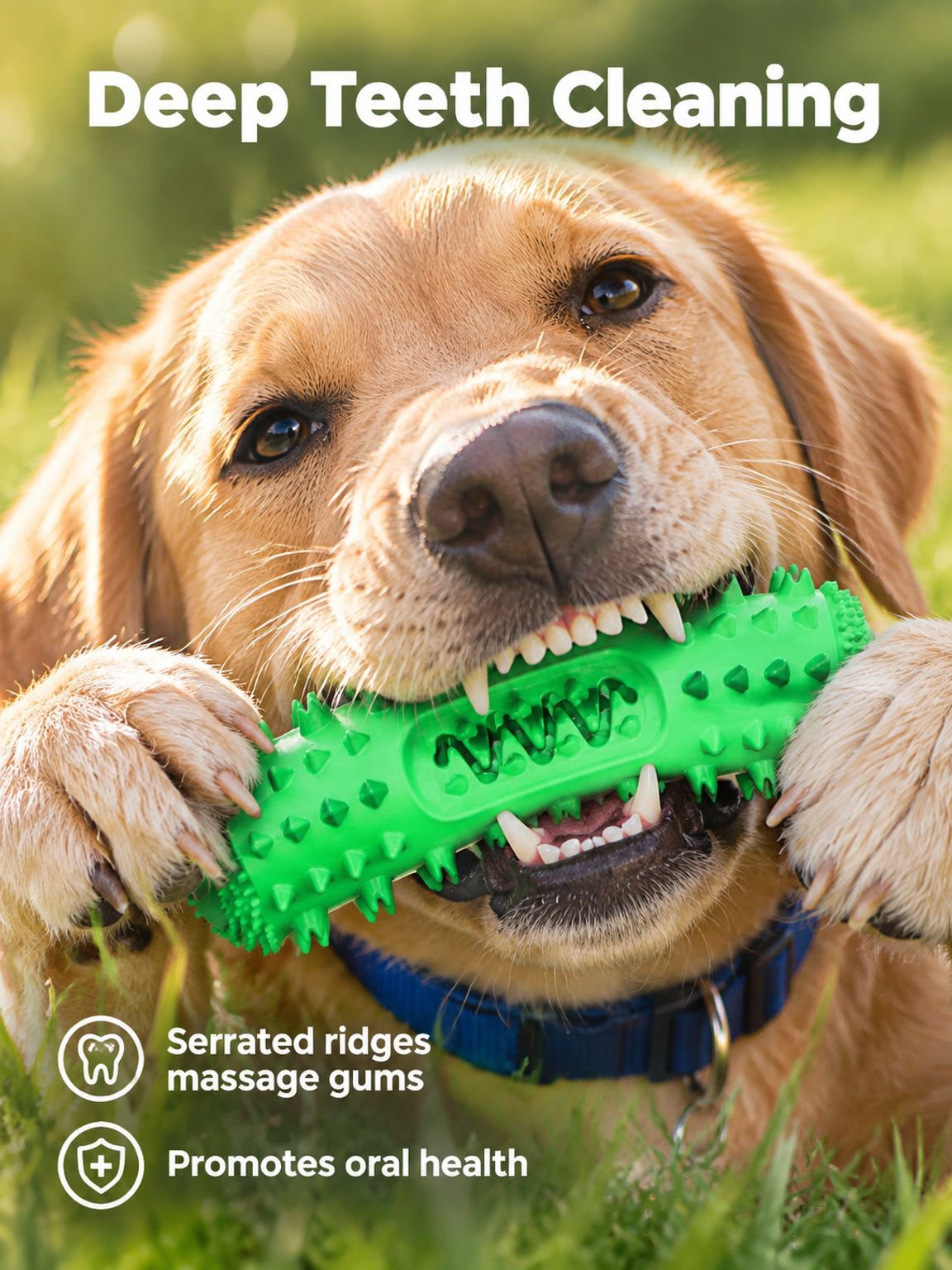 Sounding Serrated Teething Stick
