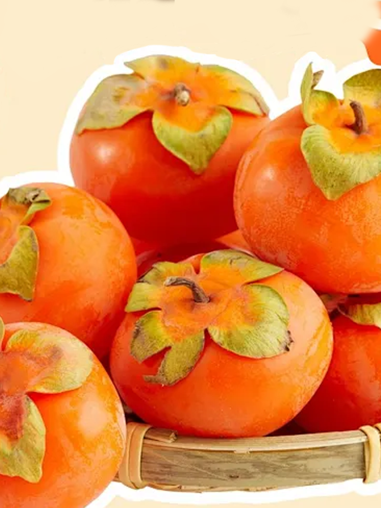 ศูนย์การค้าออนไลน์