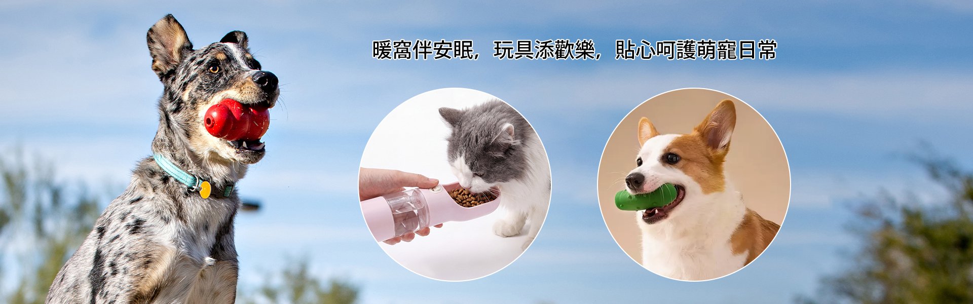 線上購物商城