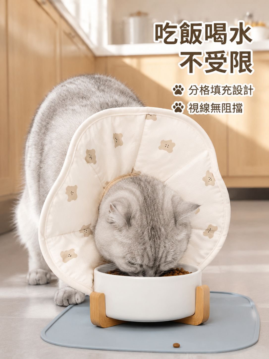 貓用防抓防舔保護圈