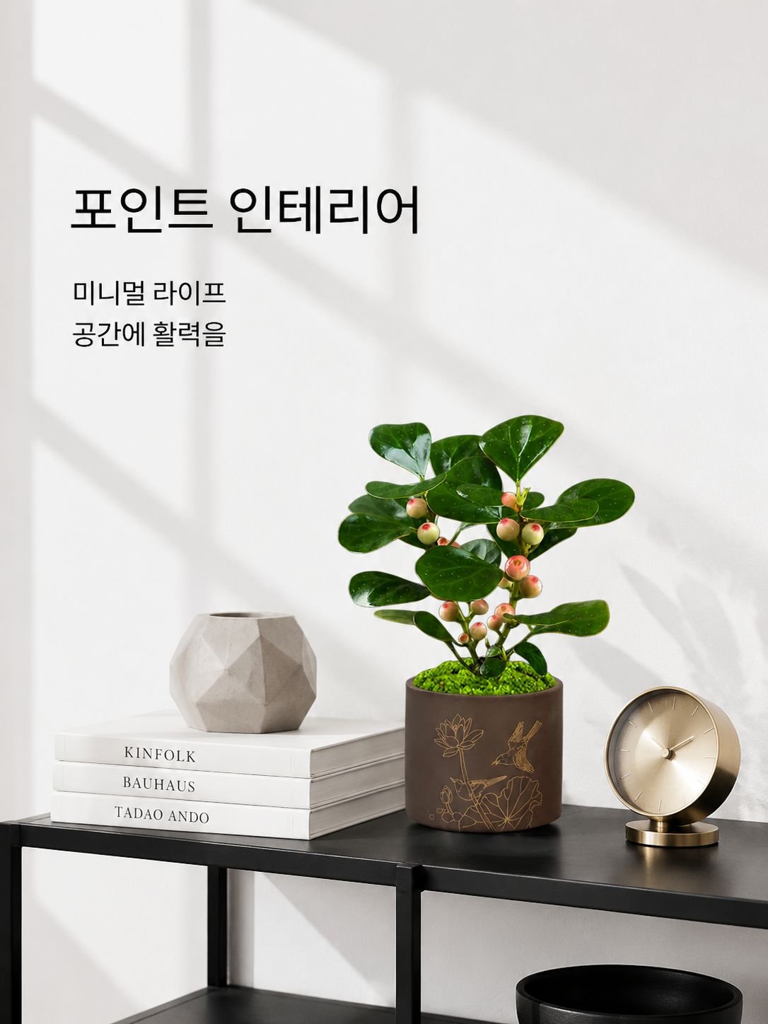 보리수 분재