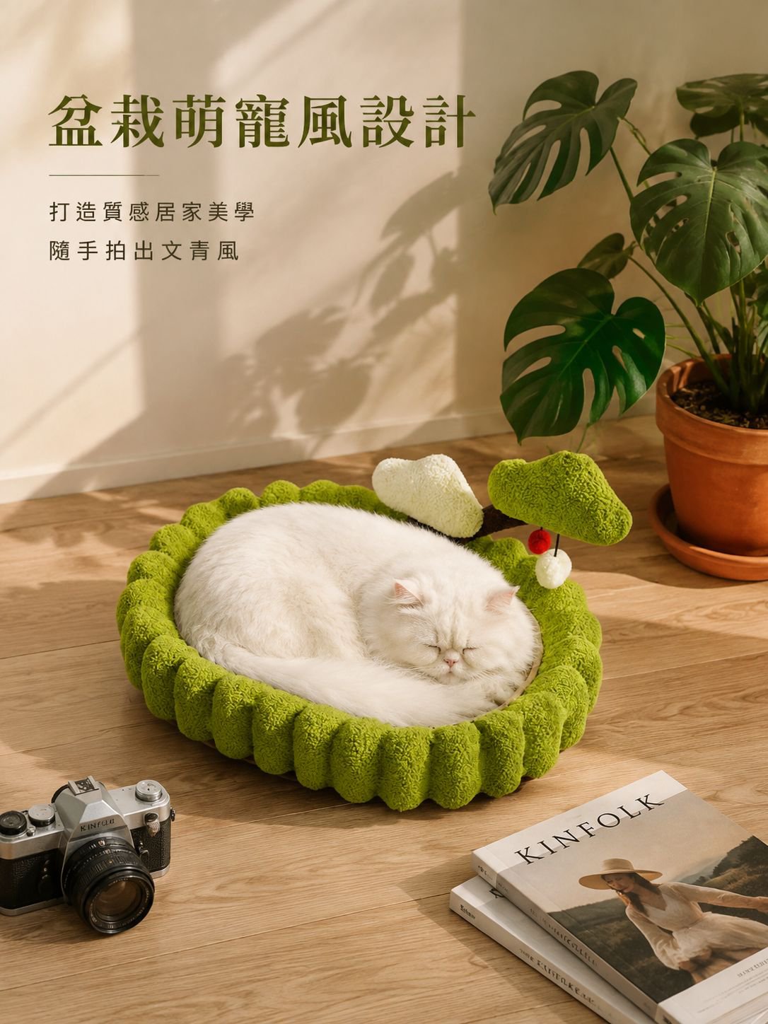 寵物貓抓樹與柔軟貓床
