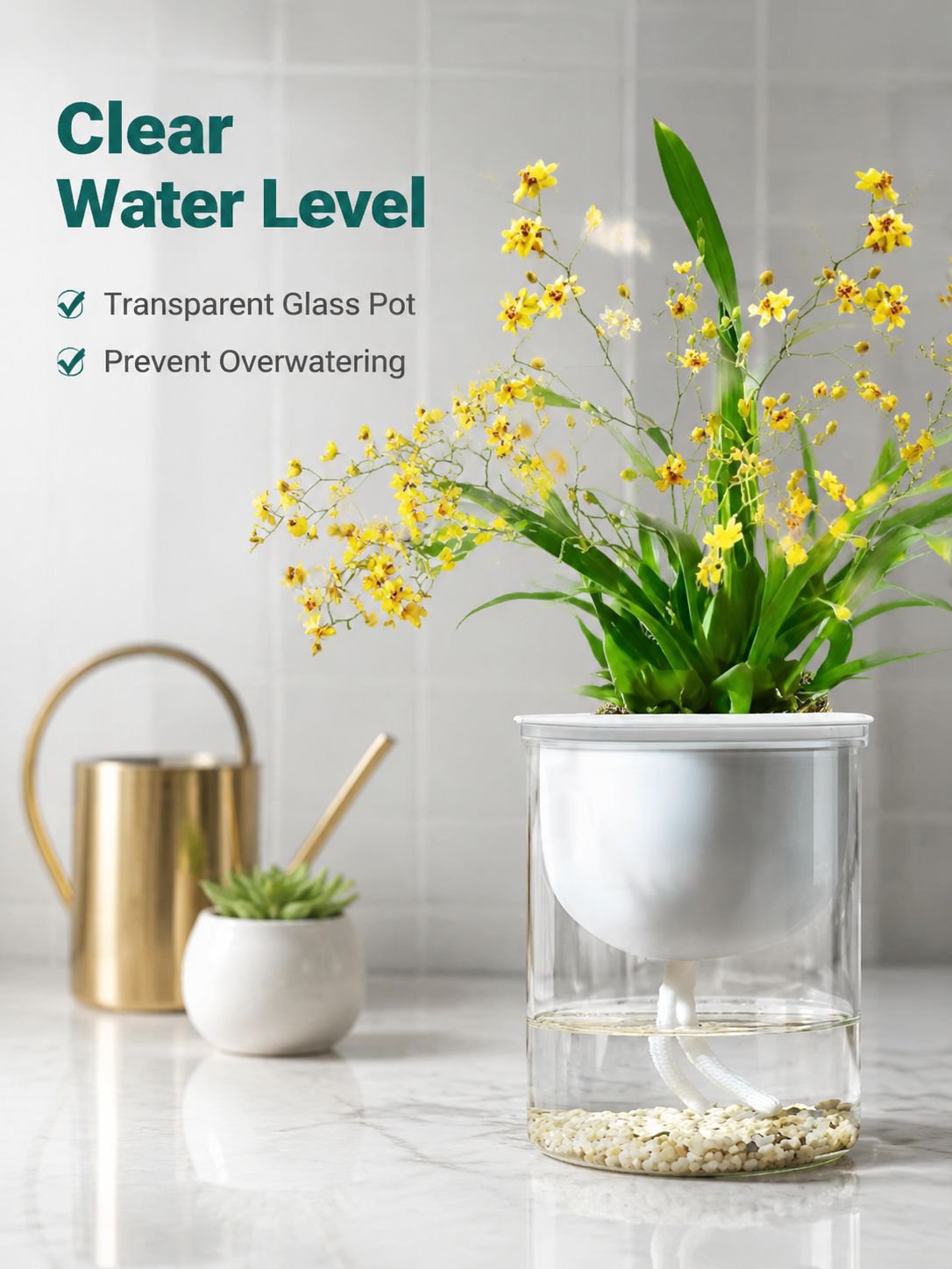 Green plants and fragrant potted flowers