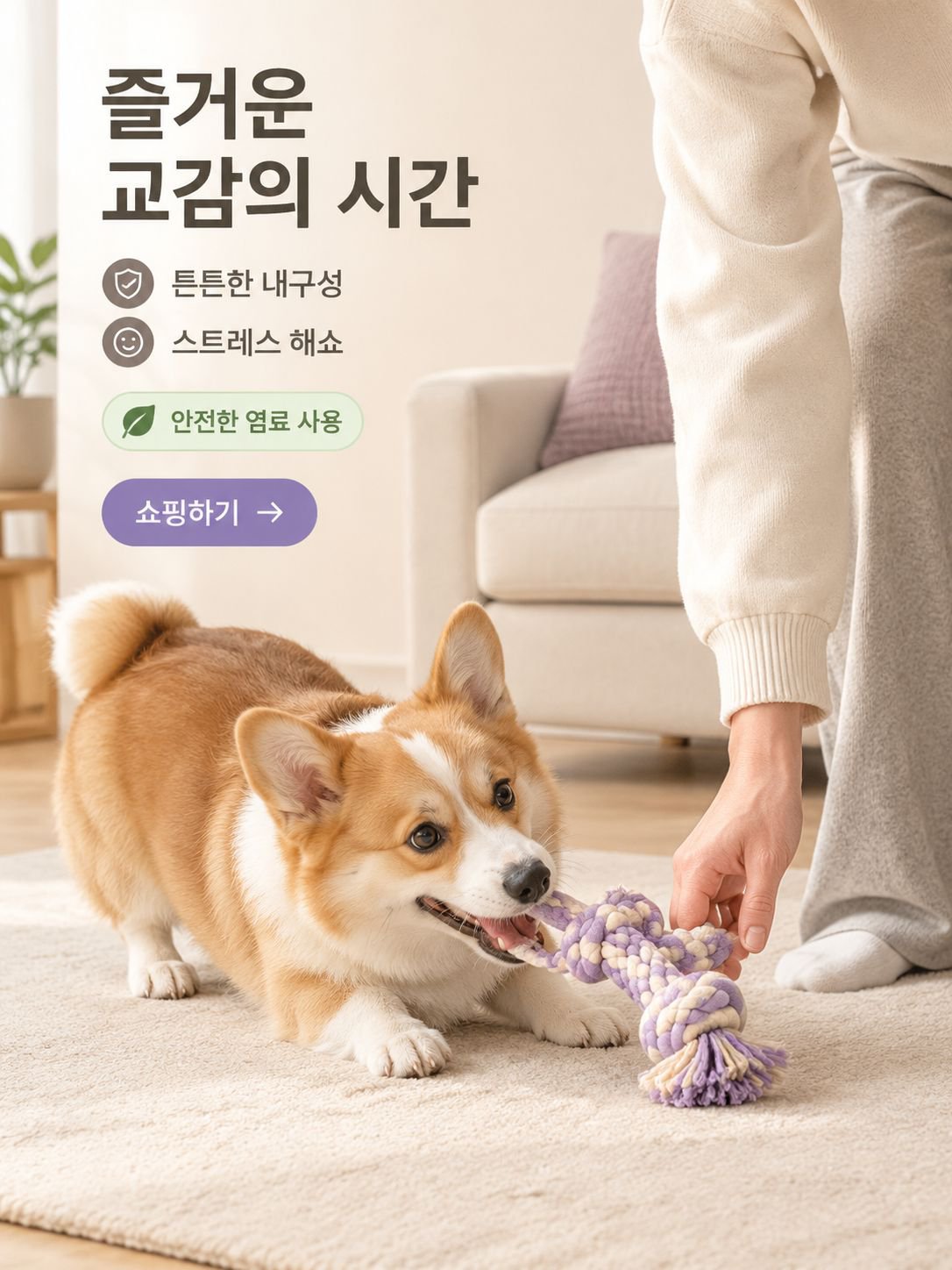Olvarena | 반려동물과 따뜻한 일상을 위한 선택