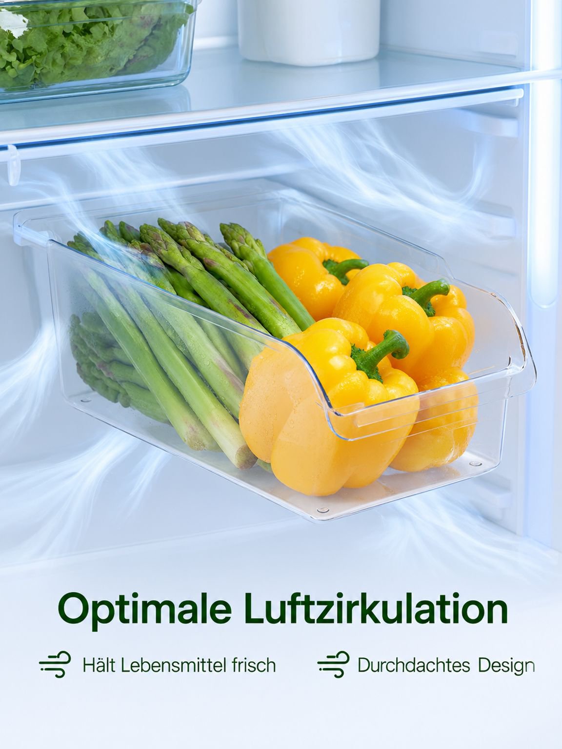Transparente Aufbewahrungsbox Schublade im Kühlschrank