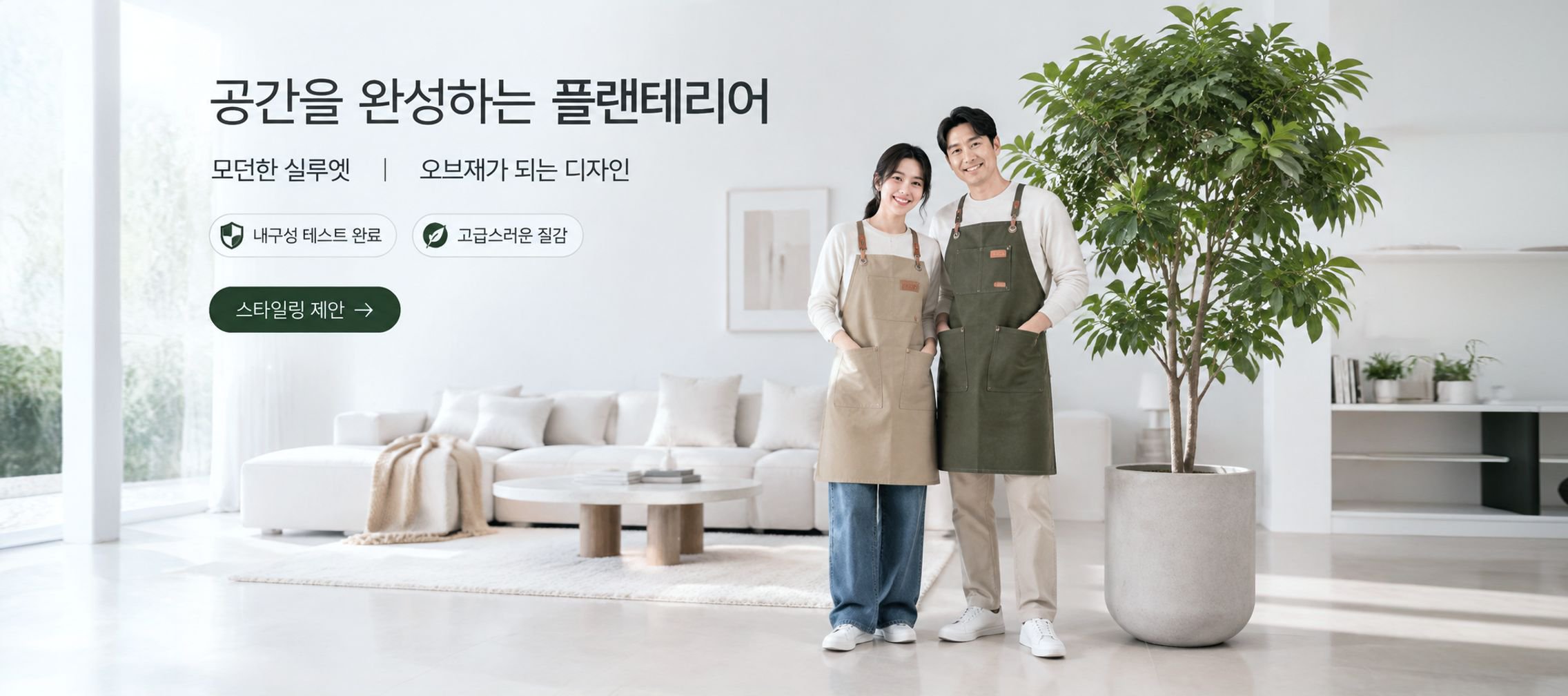 curiodashe.com