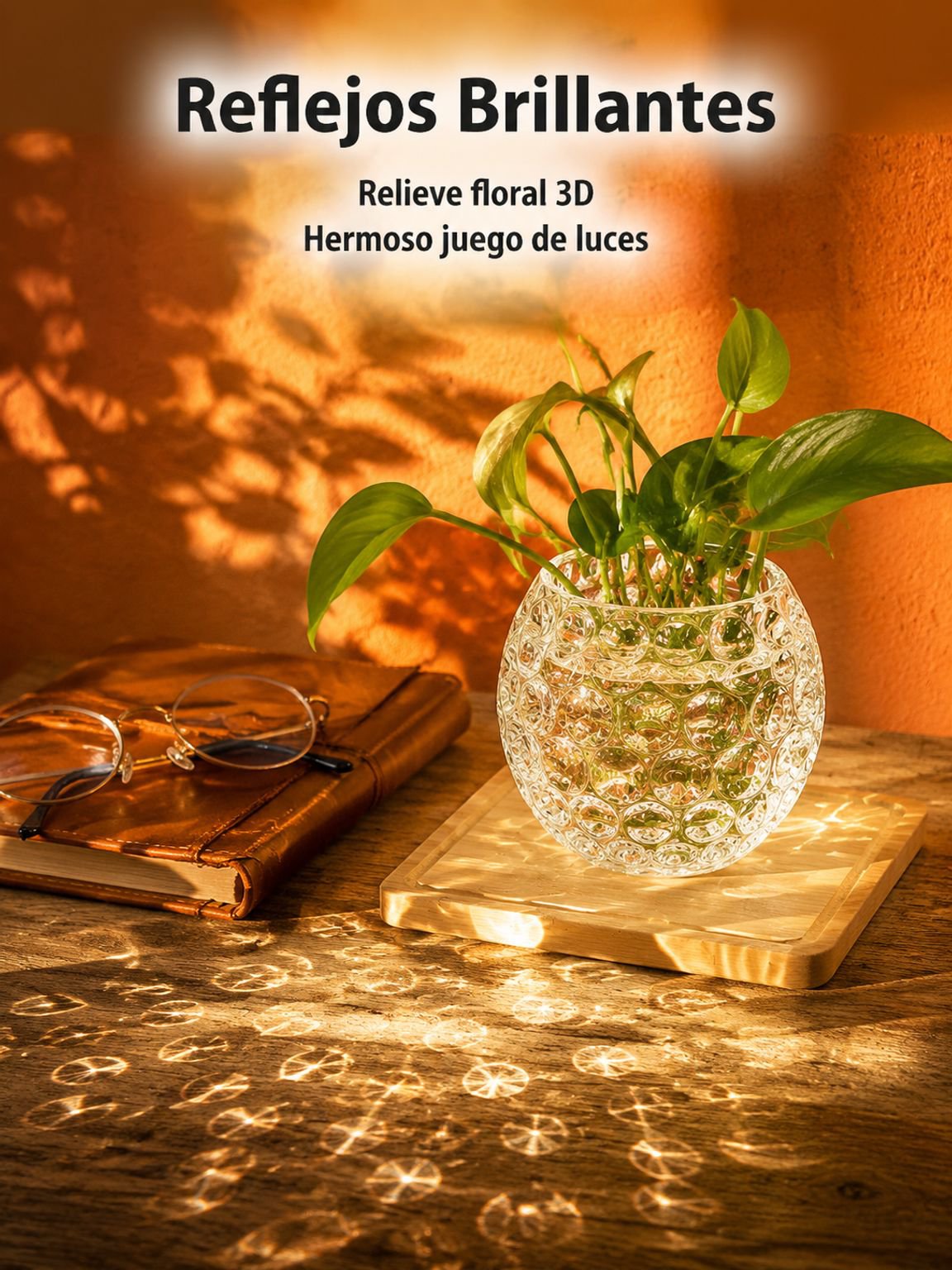 Florero de vidrio redondo transparente para plantas hidropónicas, diseño creativo