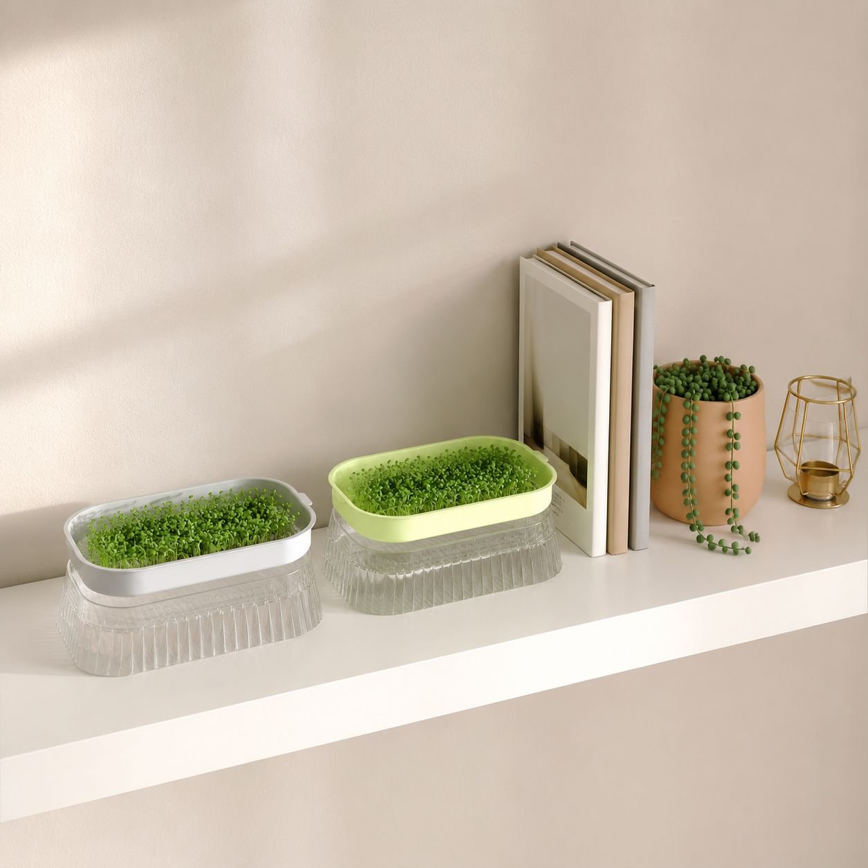 Eco-friendly hydroponic bean sprout system
