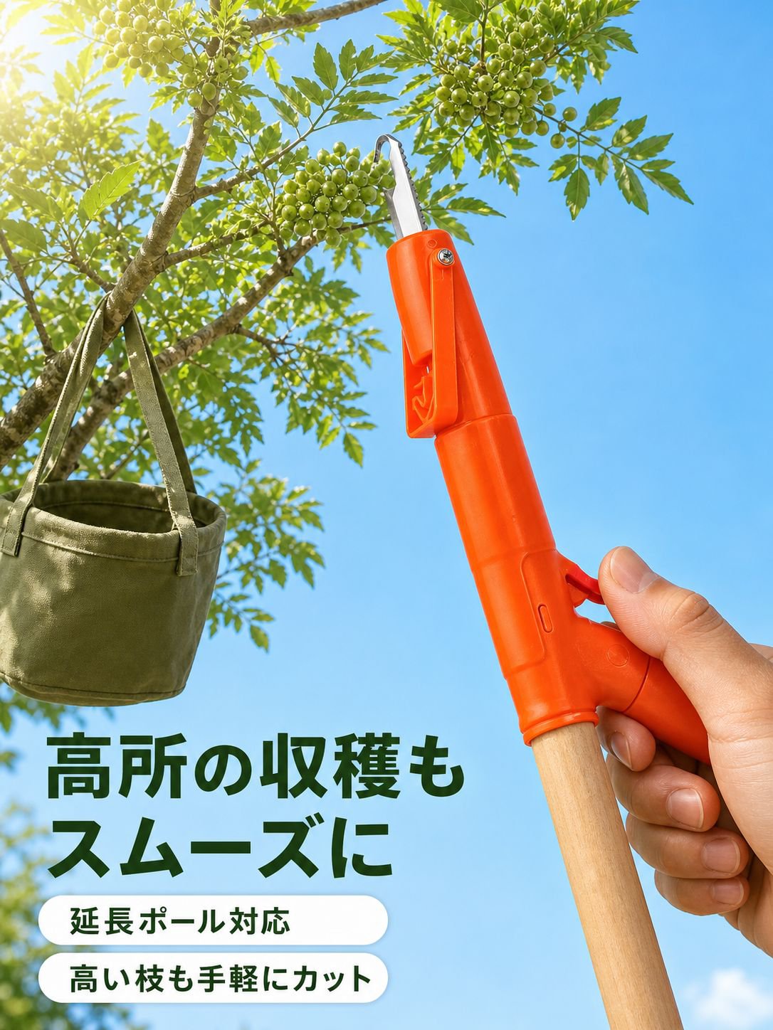 山椒摘み専用剪定バサミツール