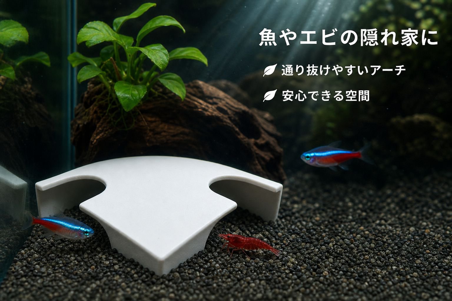 アクアリウム二重穴観魚トンネル