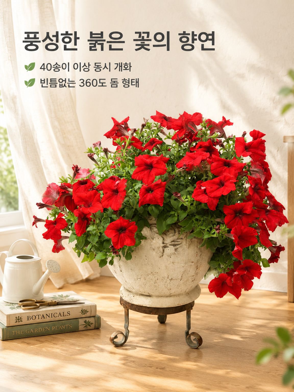 겹꽃 페튜니아