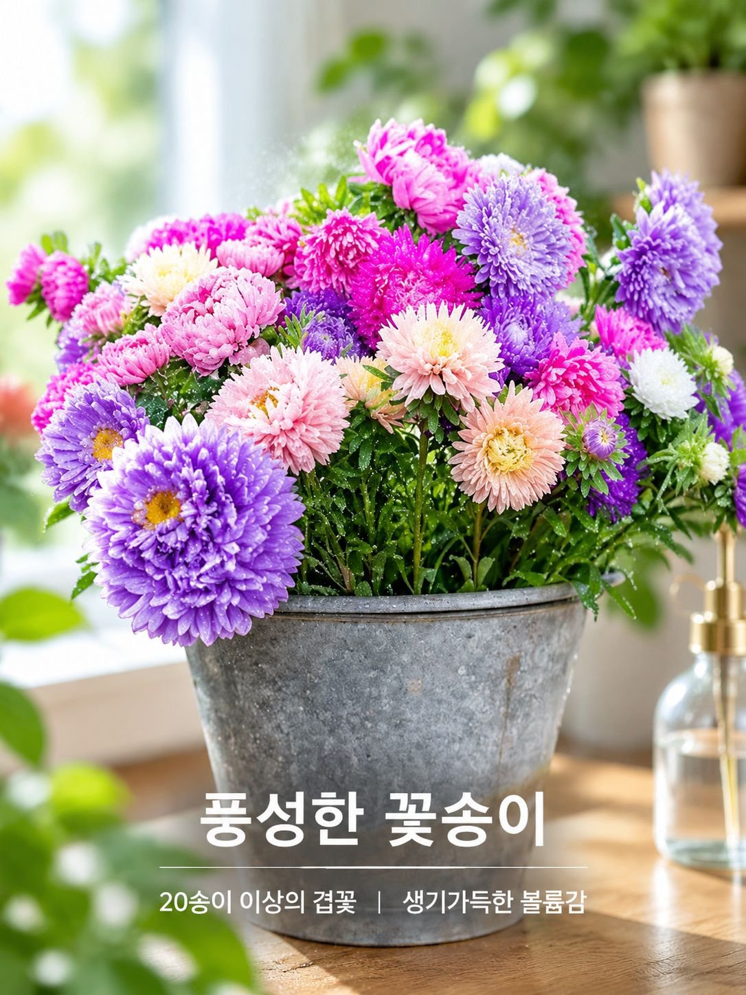 다채로운 캔디 화분 꽃
