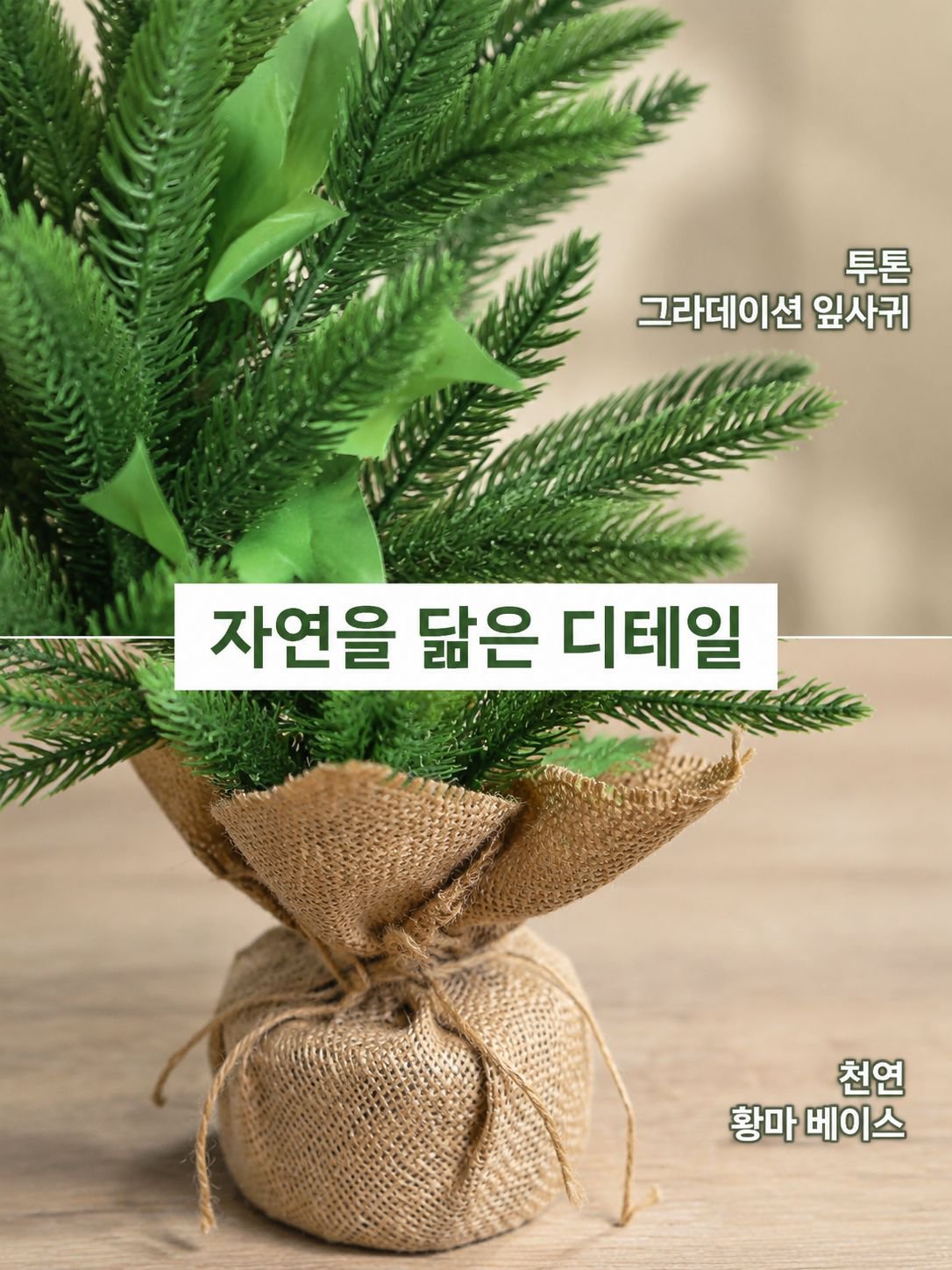 가정 및 사무실 장식용 작은 나무