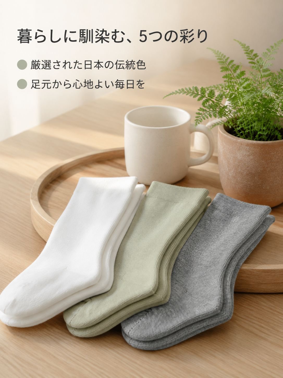 抗菌コットンソックス
