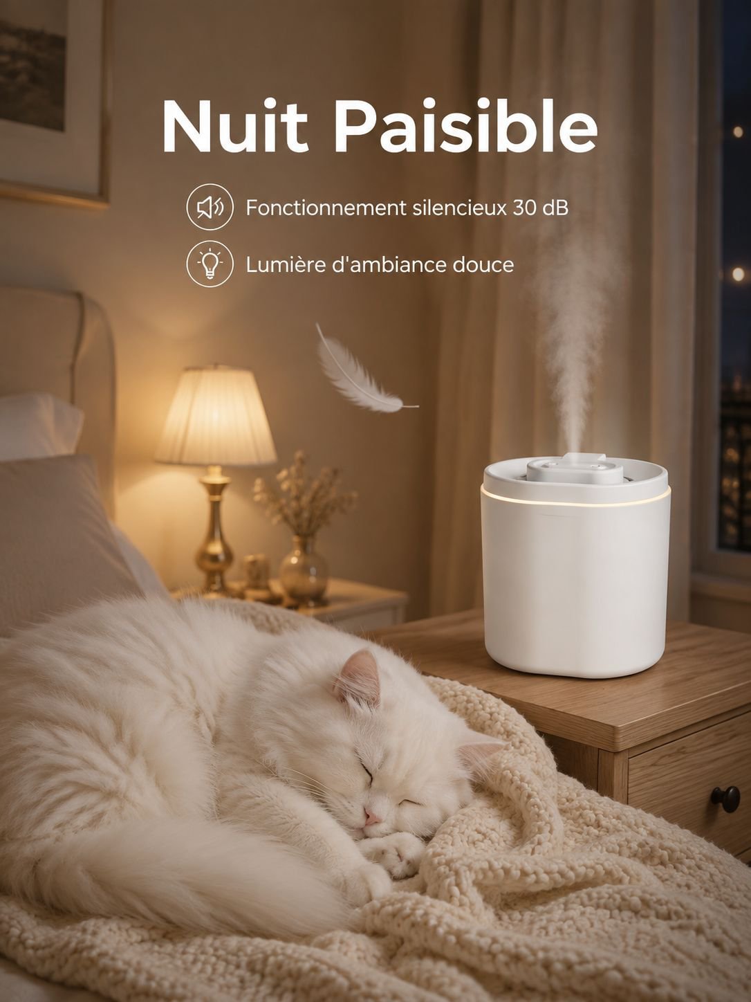 Humidificateur à double buse 6L grande capacité avec lampe d’ambiance pour maison et bureau