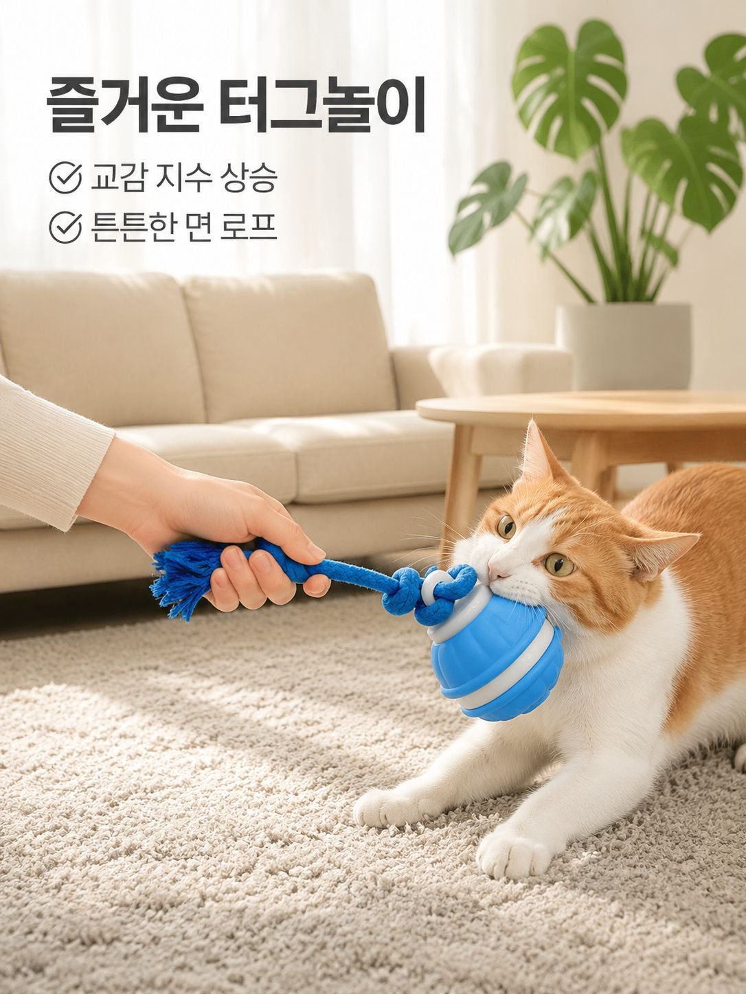 내구성이 뛰어난 고양이 장난감 공