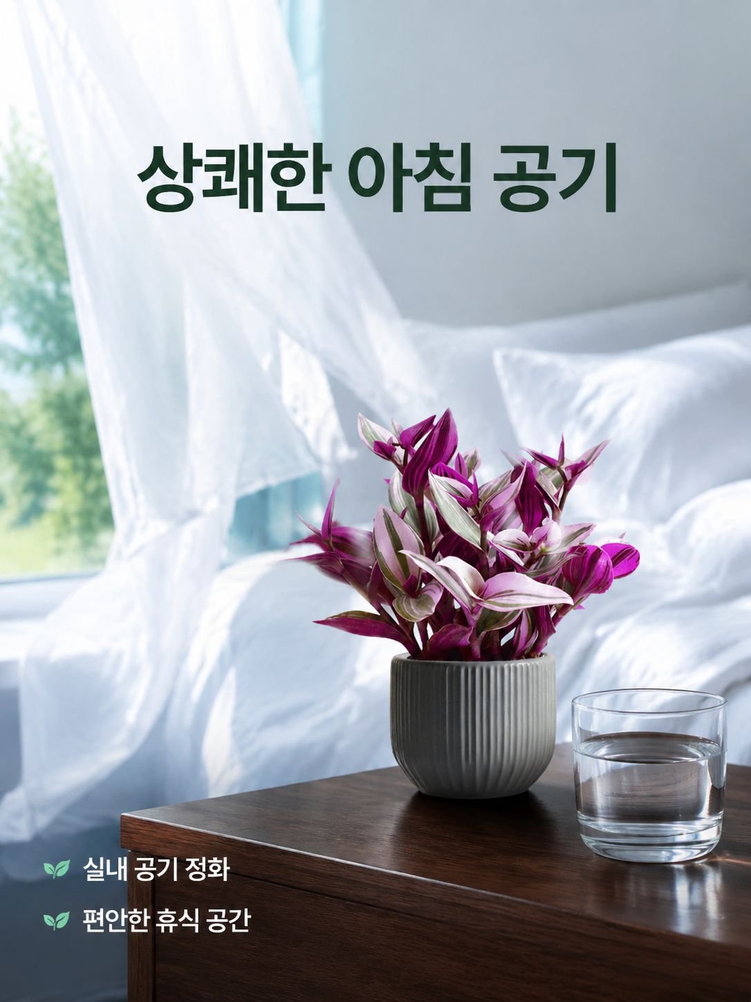 보라색 거미 식물