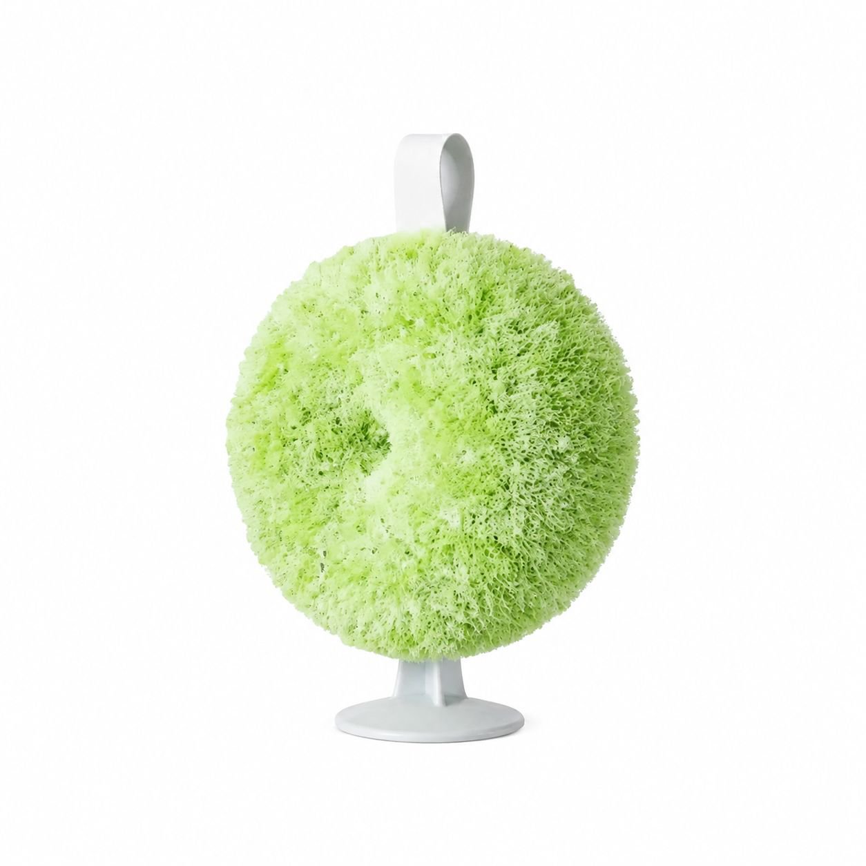 Multipurpose Antibacterial Brush for Kitchen Sink and Countertops