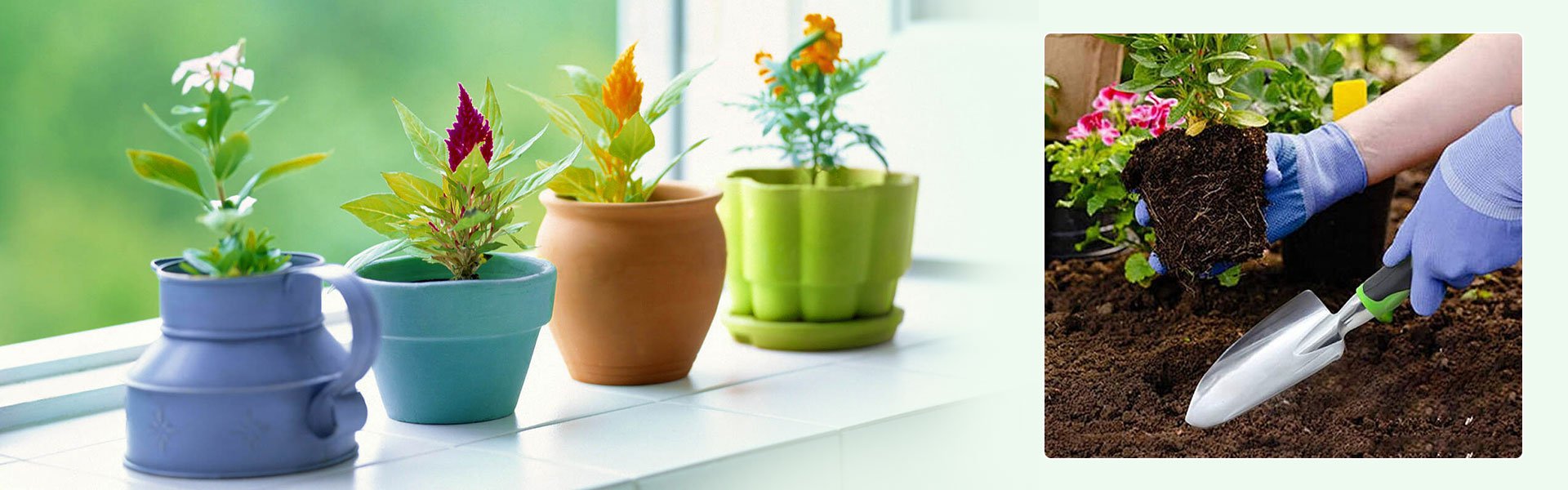 Online shopping MALL